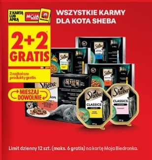 wszystkie karmy dla kota