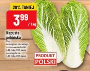 kapusta pekińska