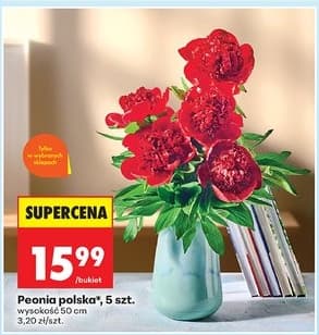 peonia polska