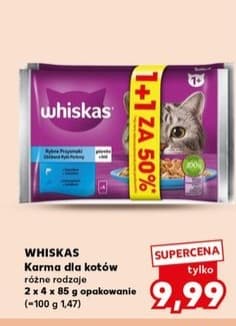 mokra karma dla kotów
