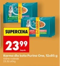 karma dla kota