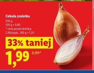 cebula szalotka