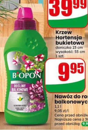 nawóz do roślin balkonowych