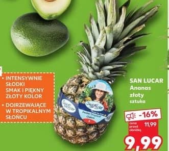 San Lucar ananas złoty sztuka