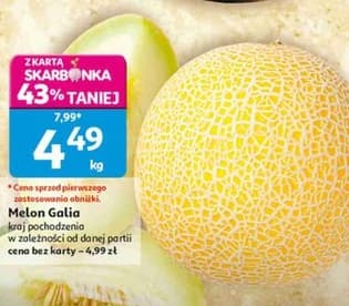 melon Galia