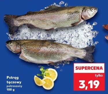 pstrąg tęczowy patroszony