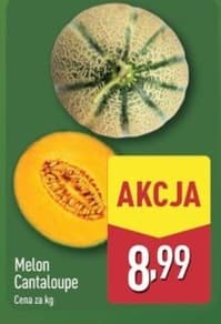 melon Cantaloupe