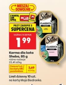 karma dla kota
