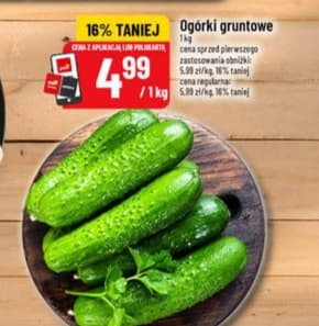 ogórki gruntowe