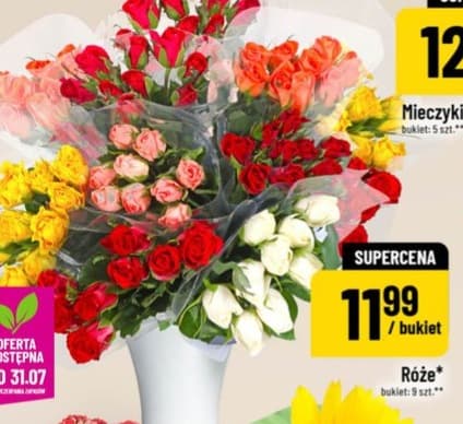 Róża