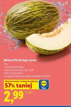melon Piel de Sapo