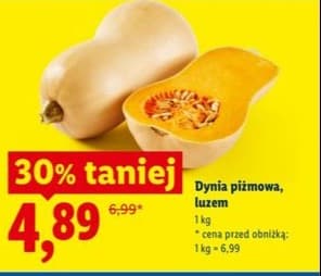 dynia piżmowa