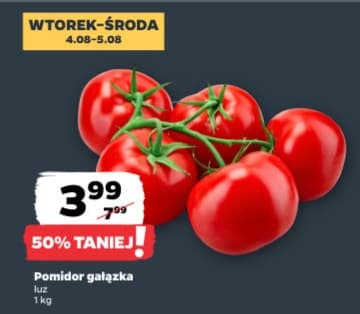 pomidor gałązka