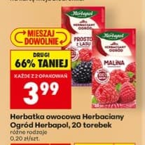 herbatka na zimno