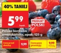 borówka amerykańska