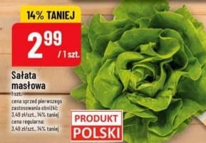 sałata masłowa