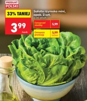 sałata rzymska mini
