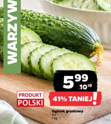 ogórek gruntowy
