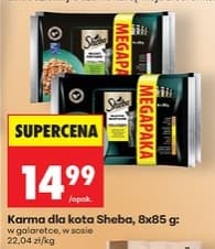 karma dla kota