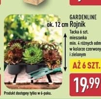 rojnik