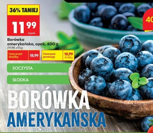 borówka amerykańska