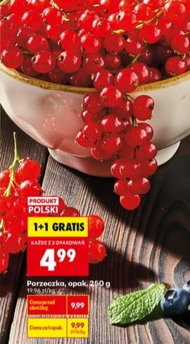 porzeczka