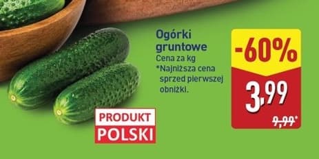 ogórek gruntowy