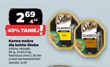 karma mokra dla kotów