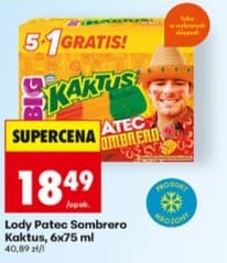 lody Sombrero Kaktus