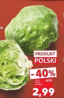 sałata lodowa
