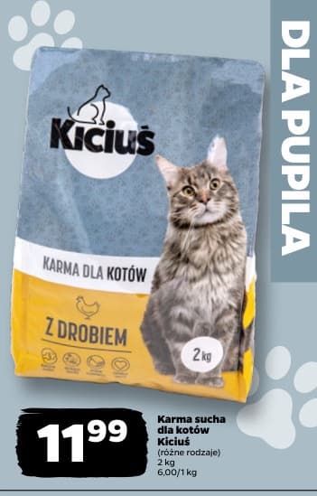 karma sucha dla kotów
