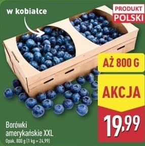 borówki amerykańskie XXL