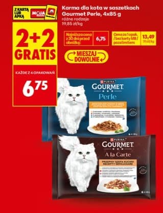 karma dla kota w saszetkach różne rodzaje