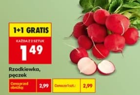 rzodkiewka pęczek