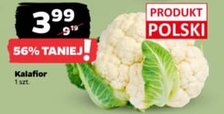 kalafior 1szt.