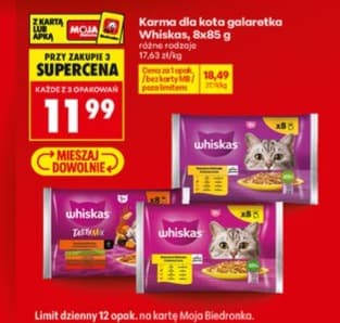 karma dla kota galaretka