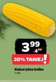 kukurydza kolba