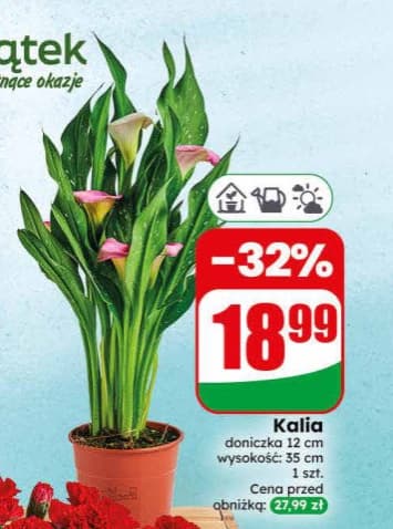 Kalia