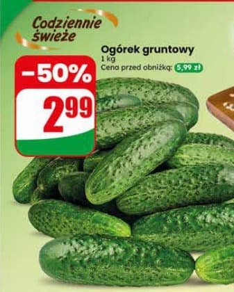 ogórek gruntowy