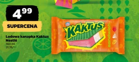 lodowa kanapka Kaktus