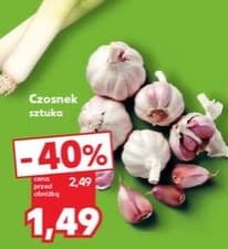 czosnek
