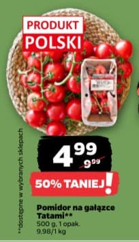 pomidor Tatami na gałązce