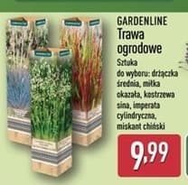 trawa ogrodowa
