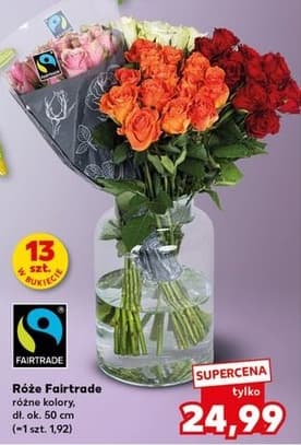 róża Fairtrade