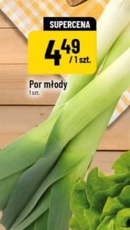 por młody