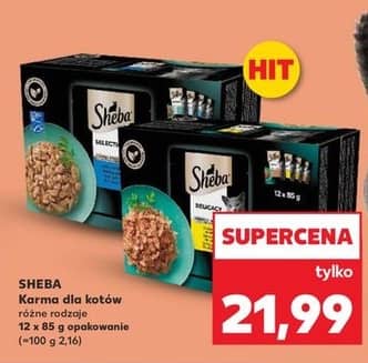 Sheba karma dla kotów w saszetkach 12x85g