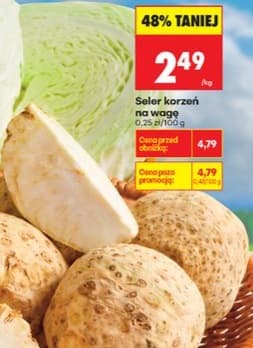 seler korzeń