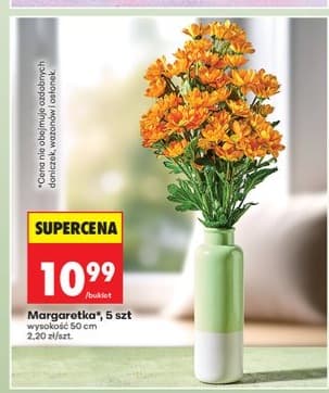 Margaretka