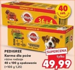 karma dla psów
