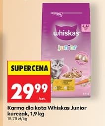 karma dla kota Junior kurczak